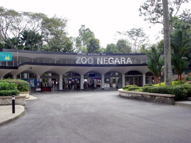 0506 Вход в Негара