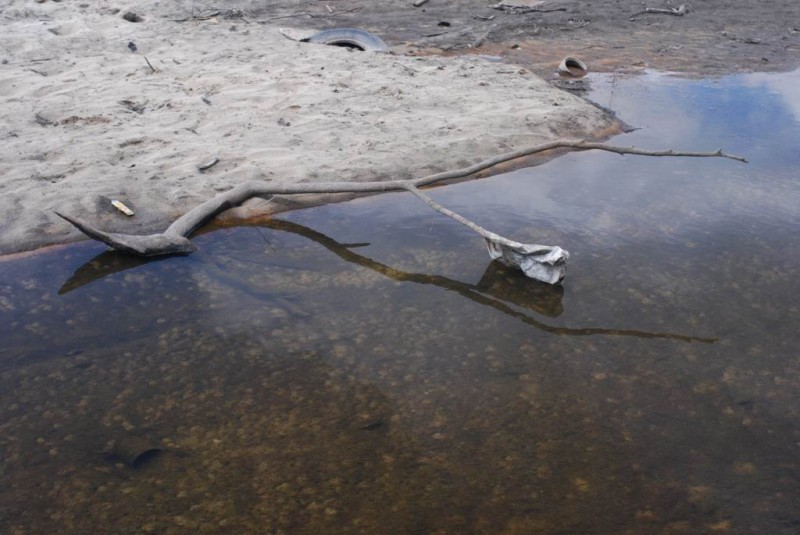 р.Сатис, 2008 40