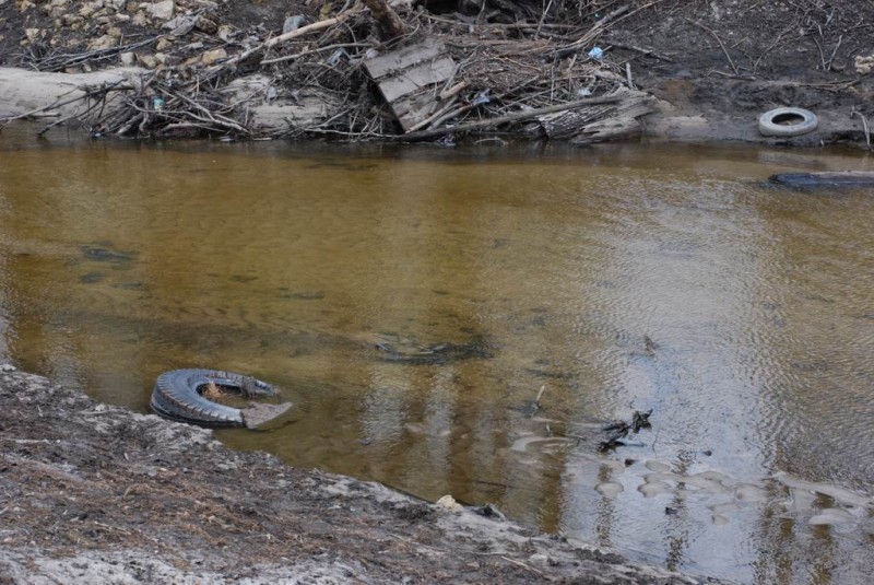 р.Сатис, 2008 15