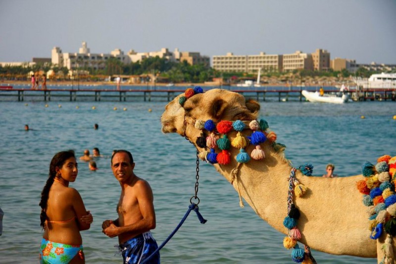 22-03 красавец Яша.jpg