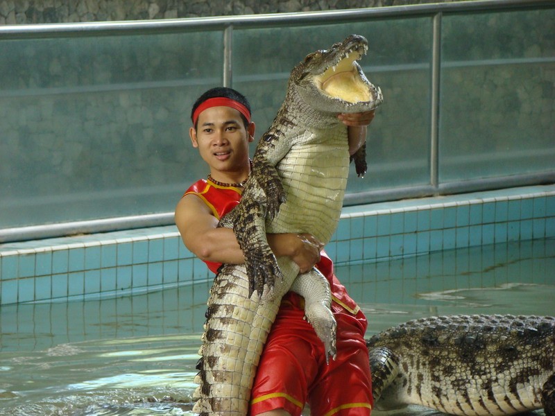 19-04 Поездка в Таиланд.jpg