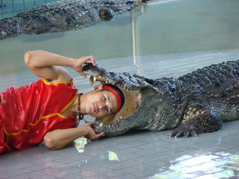 19-03 Поездка в Таиланд.jpg