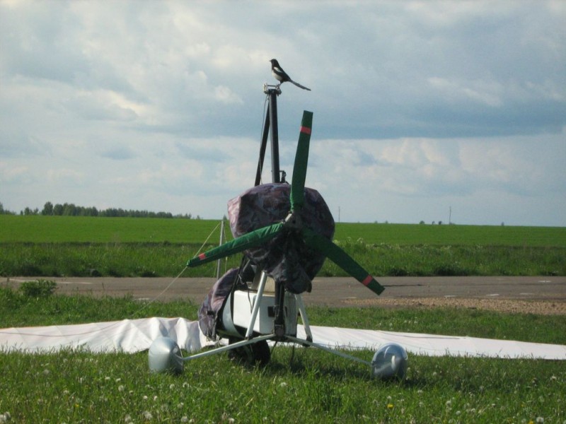 17-04 Сорока на аппарате.jpg