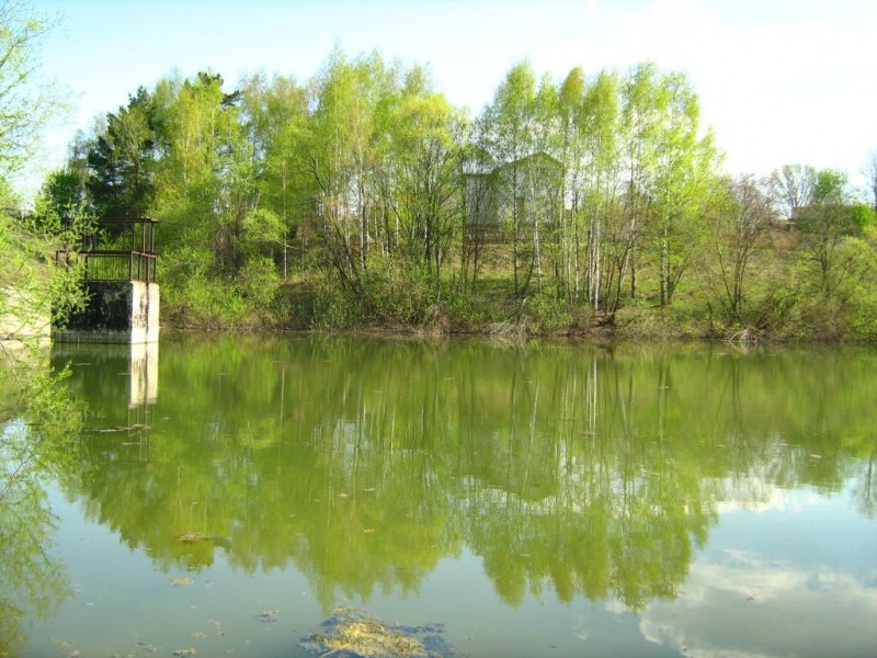 17-01 Под Москвой в начале лета.jpg