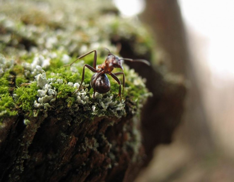 11-03 Трудяга.jpg