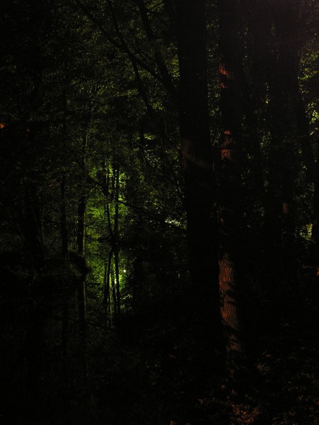 Таинственный свет...