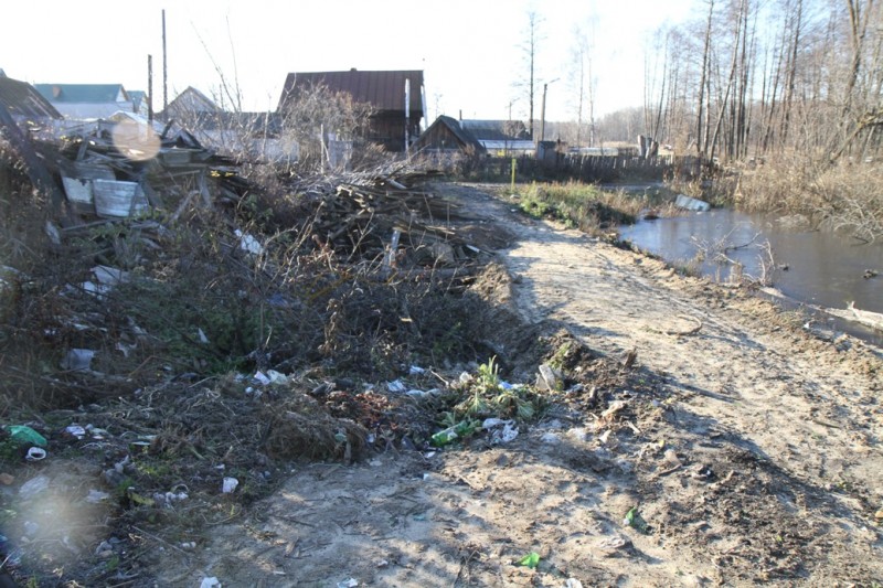 участок поймы западнее профлицея