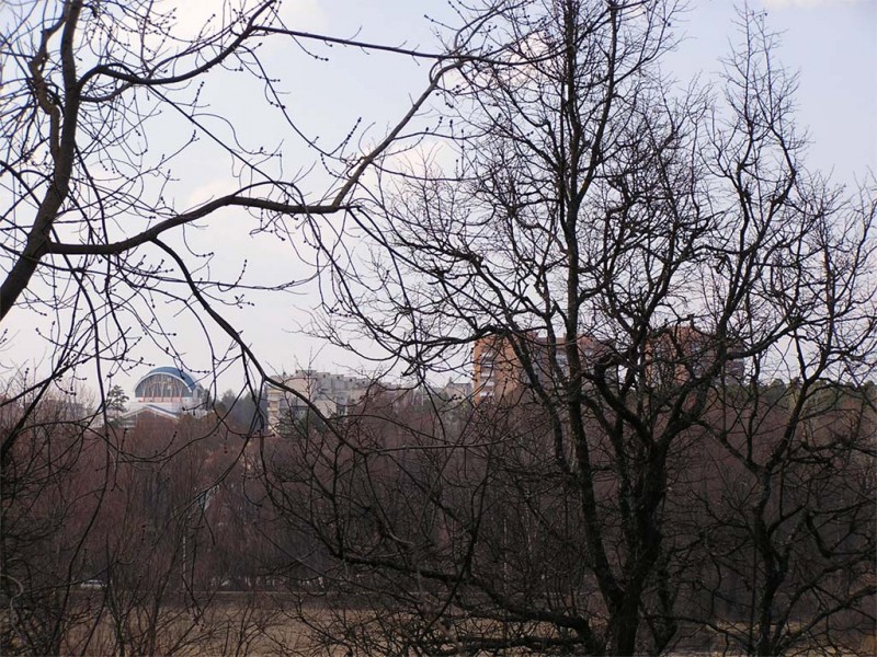 Вид на Заречный район с проспекта Мира