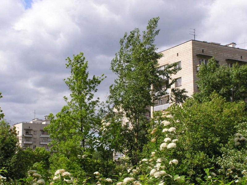 Ул. Харитона (фото 1)