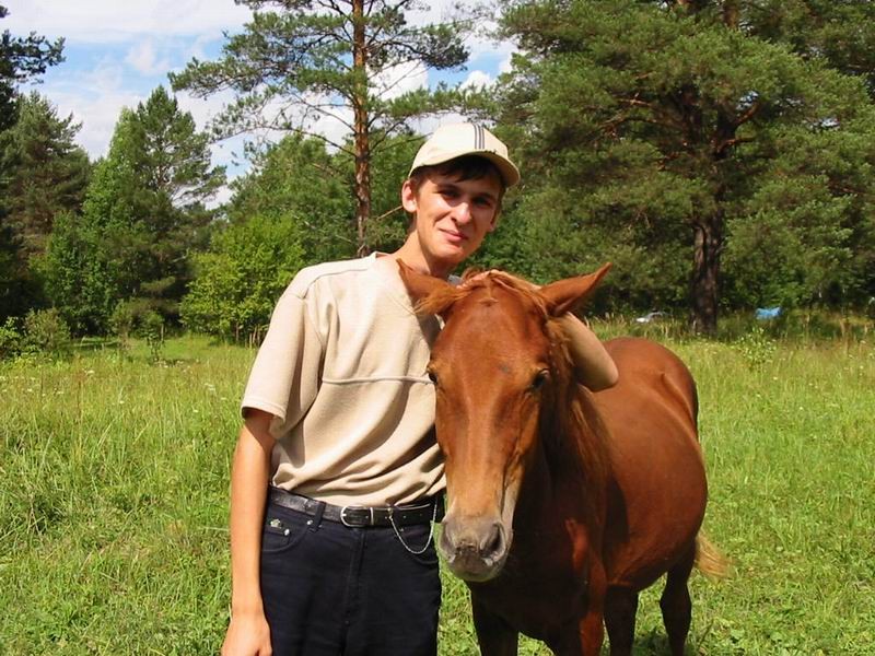 Splinter и лошадь