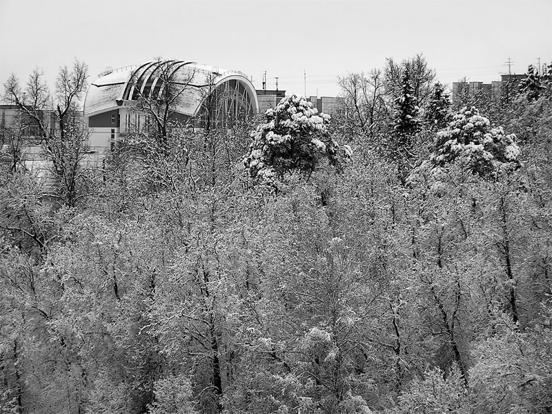 В декабре 2003-го...