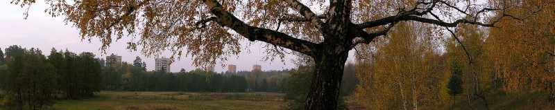 На рассвете.... Панорама