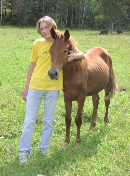 Hawk тоже решил лошадку – тово... погладить...