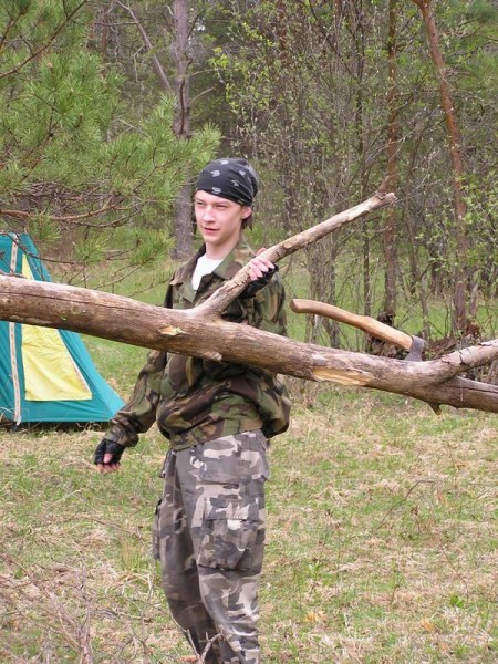 Заготовка дроф