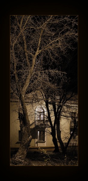 ...на ул. Пушкина