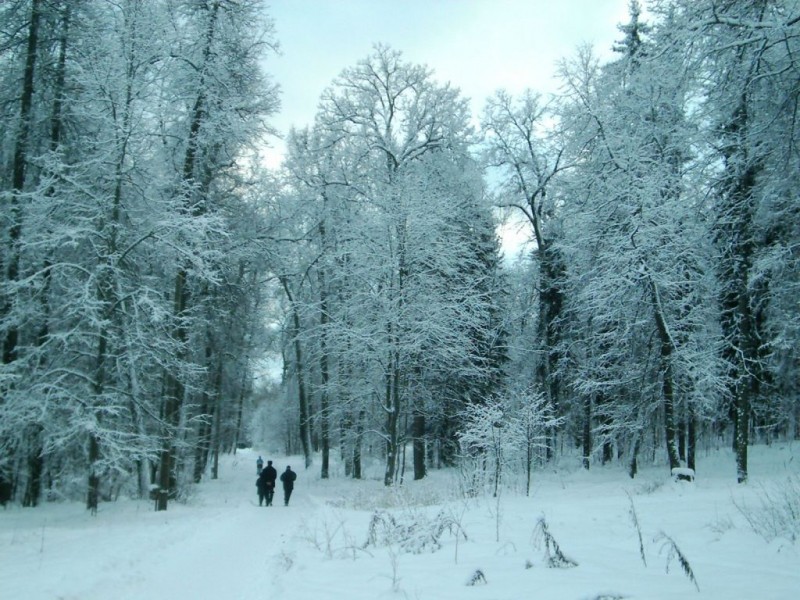 Городской парк