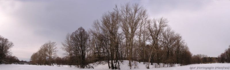 Два моста. Панорама.