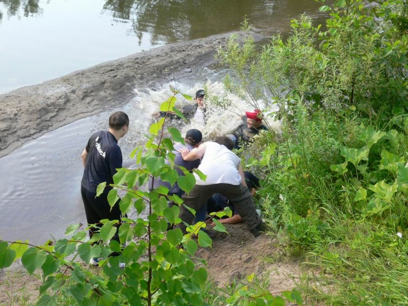 Мартин утащил Hawk'a и Avatar'a