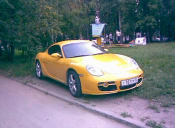 Porsche на газоне