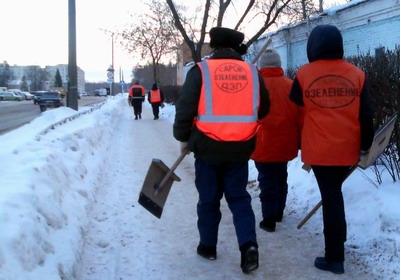 Озеленение